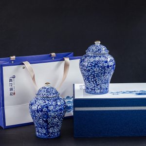 Antique Chinese Royal Blue and White Porcelain Loose Leaf Tea Caddy