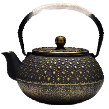 Cast Iron Teapot