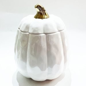 Orange And White Large Ceramic Halloween Pumpkin Candy Jar Gift Cute With Lid