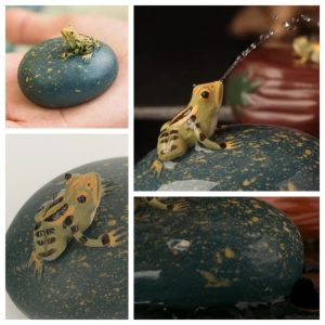 Yixing Purple Clay Green Clay Cute Small Lucky Frog Spits Water Gongfu Tea Pet