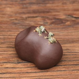 Yixing Unique Two Small Spitting Frog Purple Clay Tea Pet Double Spit Water On The Stone For Sale