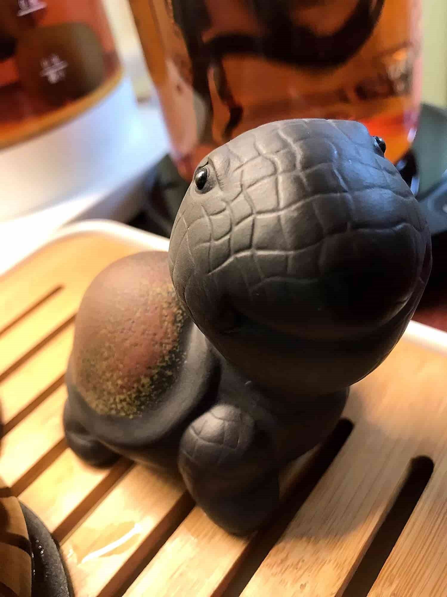 I Wasn’t Sure What To Expect With This Little Tea Pet