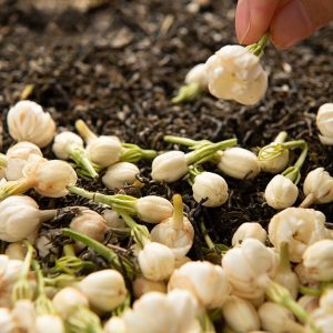 2024 Spring Premium Grade Six Times Scented Jasmine Fragrant Biluochun Green Tea 125g With Gift Box