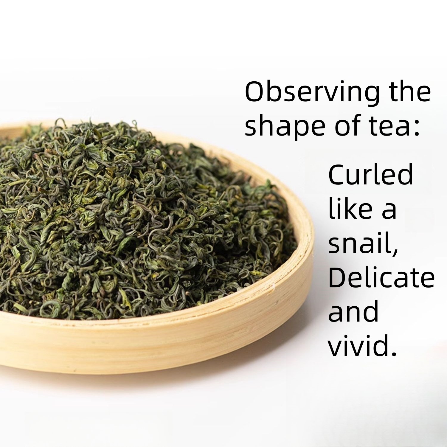 2024 Spring Yu Qian Premium Grade Bi Luo Chun Green Tea Portable Can Packaging 100g From Taihu Lake 2024 Spring Yu Qian Premium Grade Bi Luo Chun Green Tea Portable Can Packaging 100g From Taihu Lake