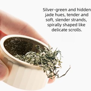 2024 Spring First Flush Tea Premium 3a Grade 40g Bi Luo Chun Green Tea Individually Packaged In Elegant Small Tins