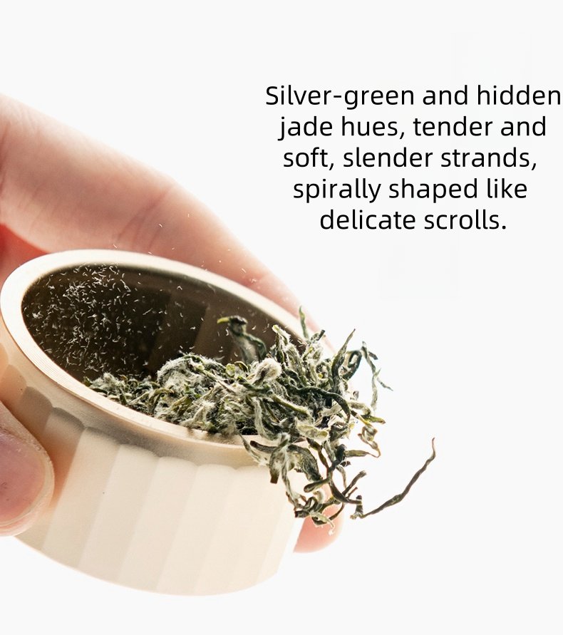 2024 Spring First Flush Tea Premium 3a Grade 40g Bi Luo Chun Green Tea Individually Packaged In Elegant Small Tins 2024 Spring First Flush Tea Premium 3a Grade 40g Bi Luo Chun Green Tea Individually Packaged In Elegant Small Tins