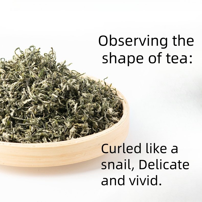 2024 Spring Premium Grade Ming Qian Bi Luo Chun Tea Classic Kraft Paper Packaging 200g 2024 Spring Premium Grade Ming Qian Bi Luo Chun Tea Classic Kraft Paper Packaging 200g