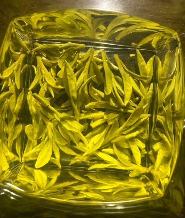 2024 Spring Premium 3a Grade Best Ming Qian West Lake Xi Hhu Longjing Tea 100g With Gift Box