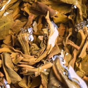 2007 "spring Tip" Aged Sheng Pu Erh Tea Cake 400g Yunnan Sourcing Raw Puer Tea From Mengku