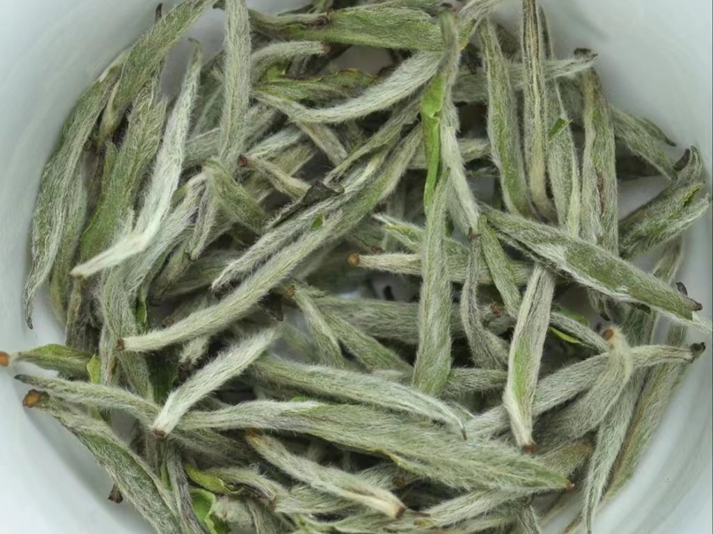 Is Green Tea Safe While Pregnant? What About Other Teas? A Guide To Tea And Pregnancy.