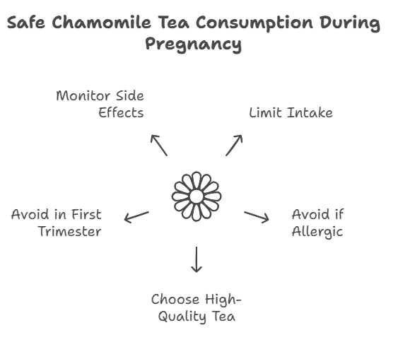 Is Herbal Tea Safe During Pregnancy? Chamomile Tea And Other Options For Pregnant Women.